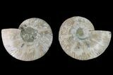 Agate Replaced Ammonite Fossil - Madagascar #150922-1